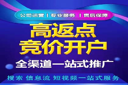 案例分析：短视频平台信息流广告效果评估
